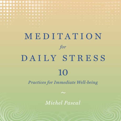 Meditation for Daily Stress 10 Practices for Immediate Well-being