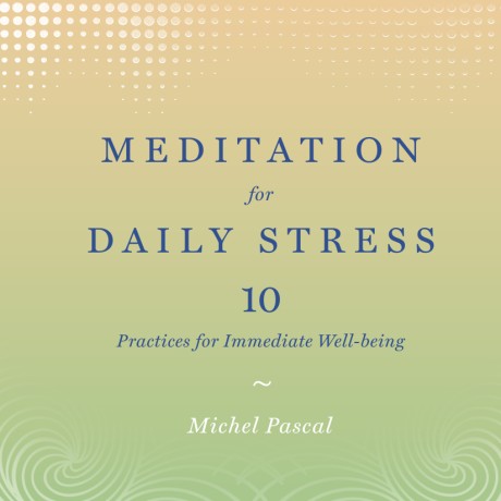 Cover image for Meditation for Daily Stress 10 Practices for Immediate Well-being