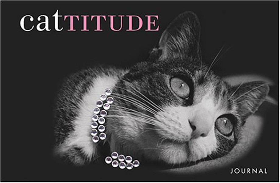 Artsy Cat Journal You Can Totally Do This Cattitude Encourage