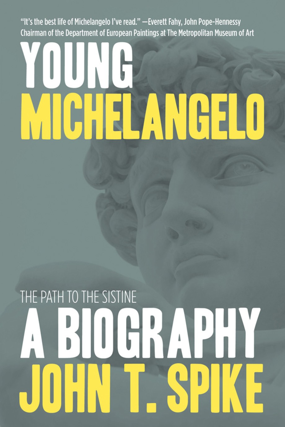 Young Michelangelo The Path to the Sistine: A Biography