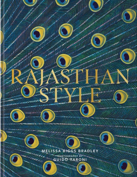 Cover image for Rajasthan Style India's Magical Palaces, Forts, and Camps