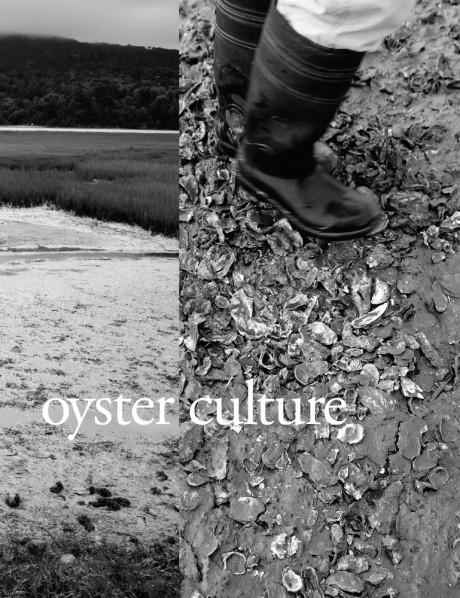 Cover image for Oyster Culture 