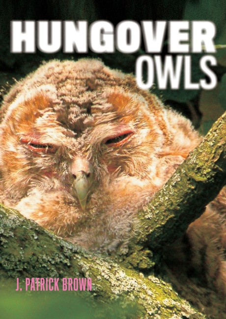 Cover image for Hungover Owls 