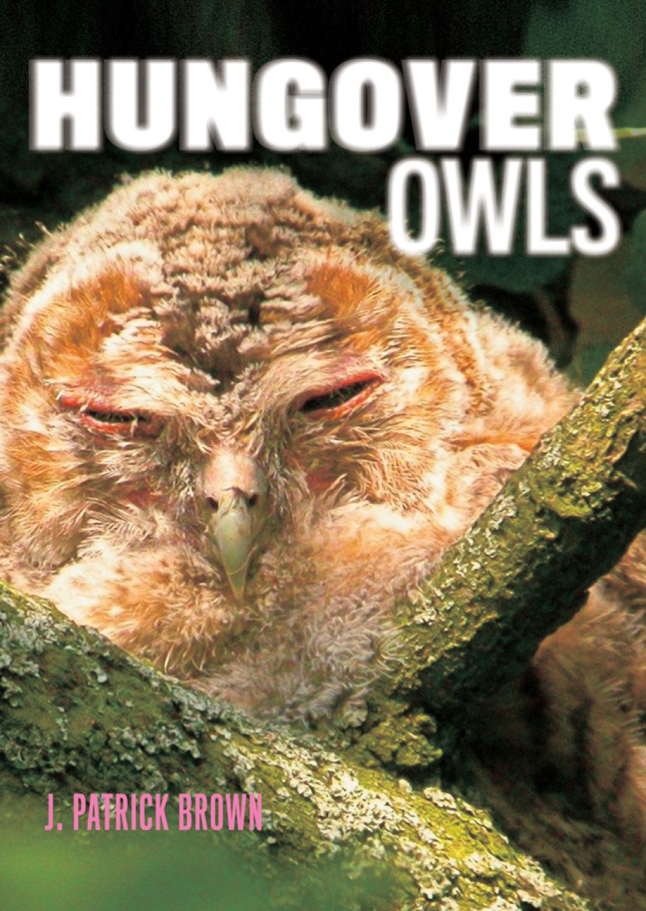 Hungover Owls 