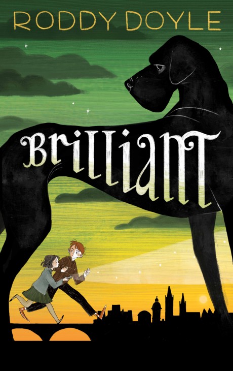 Cover image for Brilliant 