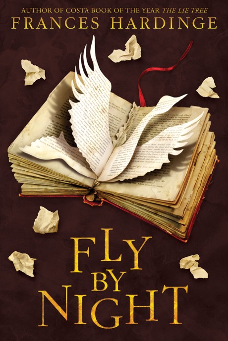 Cover image for Fly By Night A Novel