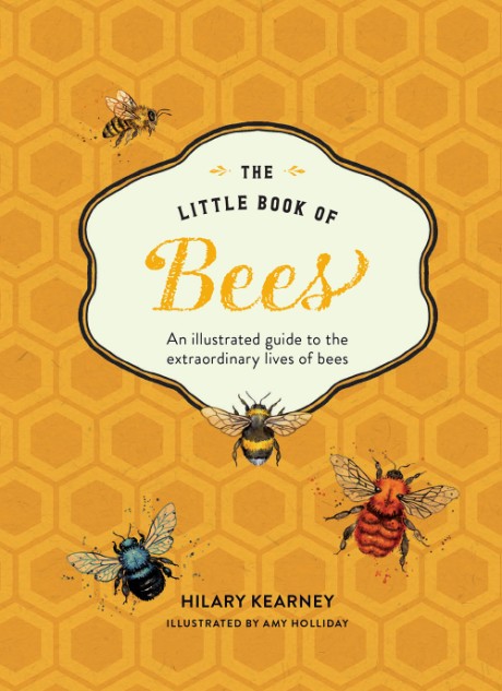 Cover image for Little Book of Bees An Illustrated Guide to the Extraordinary Lives of Bees