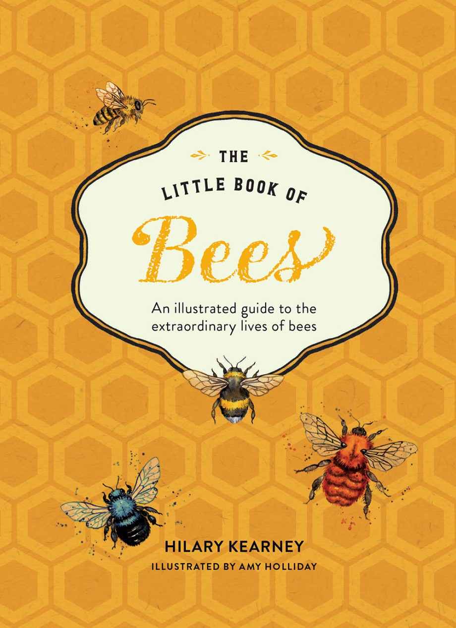 GIFTS FOR BEE LOVERS - Beekeeping Like A Girl