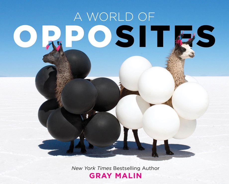 World of Opposites A Picture Book