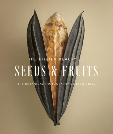 Cover image for Hidden Beauty of Seeds & Fruits The Botanical Photography of Levon Biss