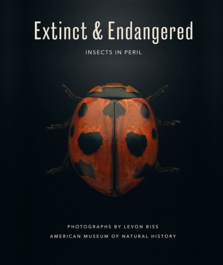 Cover image for Extinct & Endangered Insects in Peril