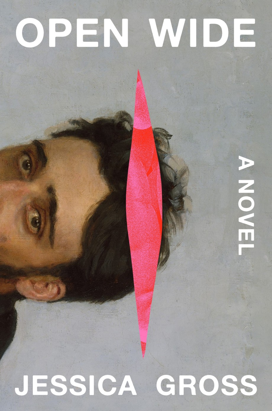 Cover for Open Wide A Novel