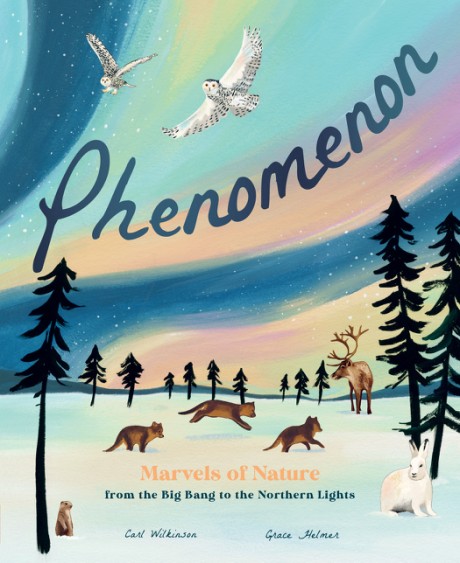 Cover image for Phenomenon Marvels of Nature from the Big Bang to the Northern Lights