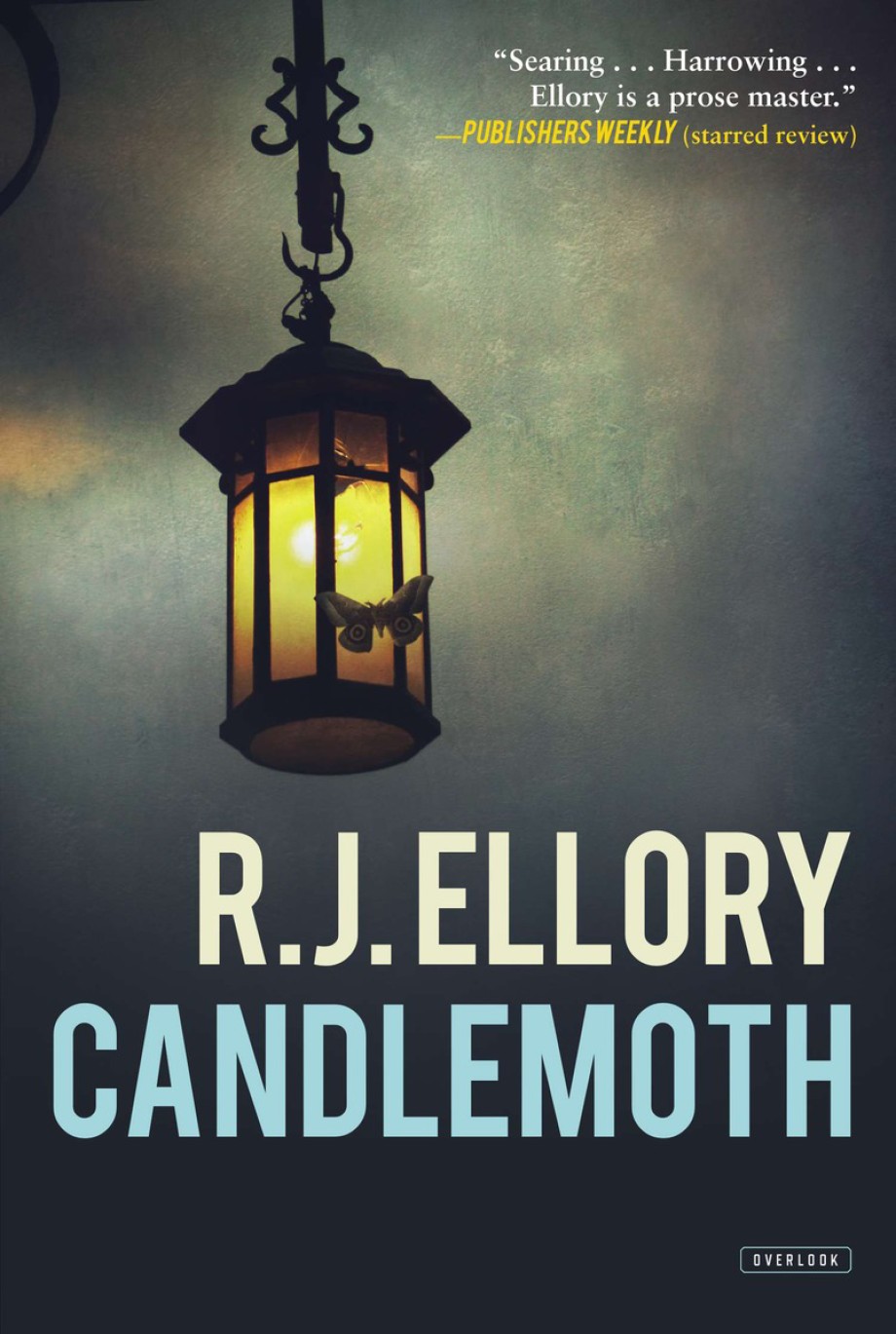 Cover for Candlemoth A Novel