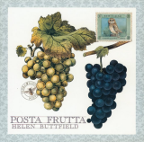 Posta Frutta - Postcard Book
