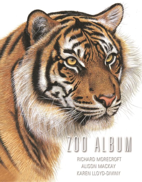 Cover image for Zoo Album 