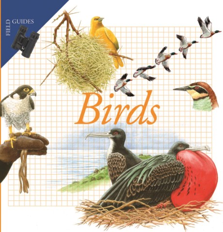 Cover image for Birds 