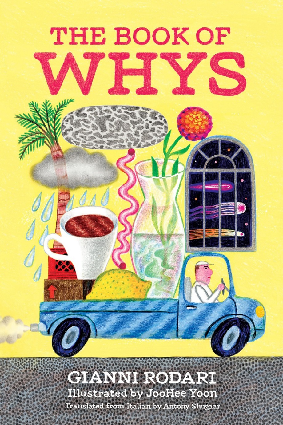Cover for Book of Whys