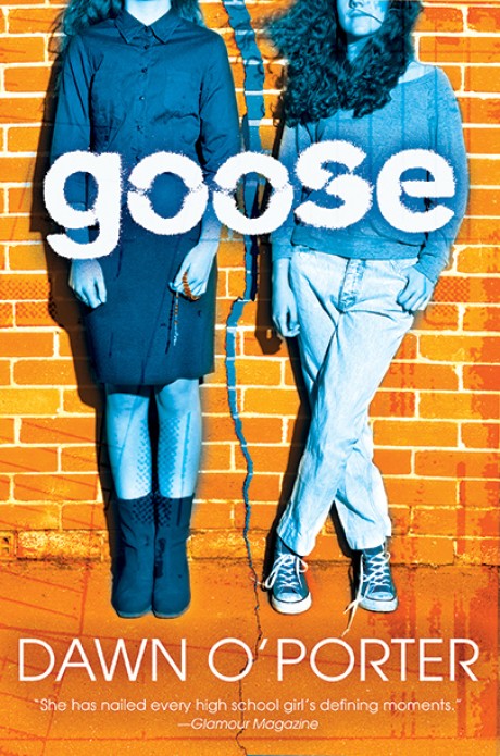 Cover image for Goose 