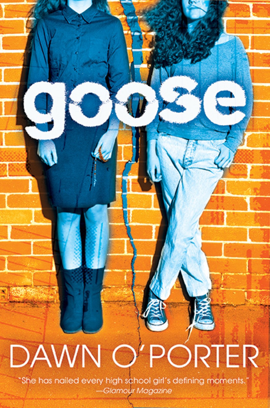 Cover for Goose