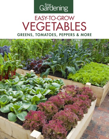 Cover image for Fine Gardening Easy-to-Grow Vegetables Greens, Tomatoes, Peppers & More