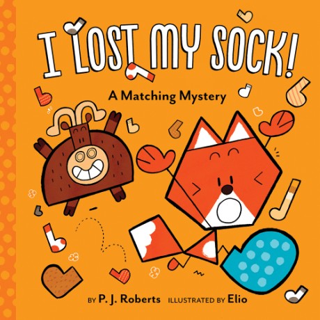 Cover image for I Lost My Sock! A Matching Mystery