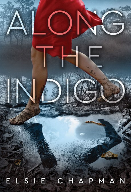 Cover image for Along the Indigo 
