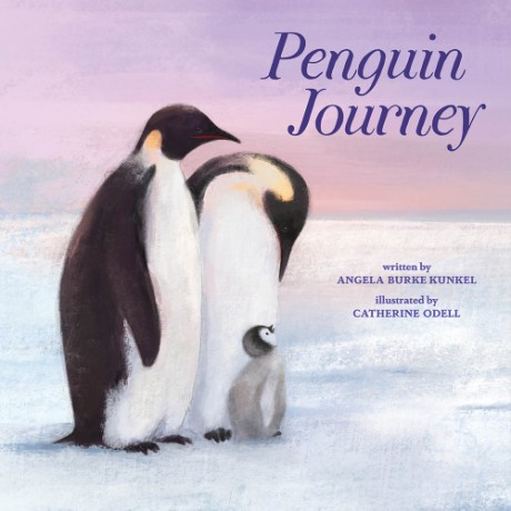 Cover image for Penguin Journey 