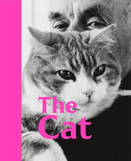 Cover image for Cat 