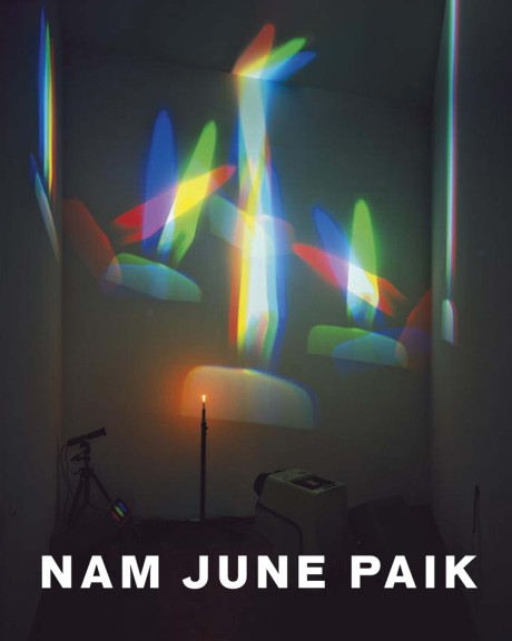 Cover image for Nam June Paik 