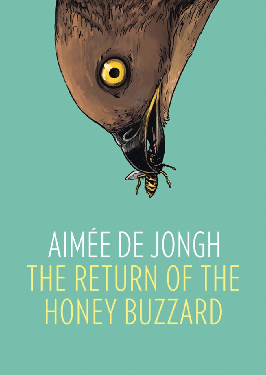 Return of the Honey Buzzard 