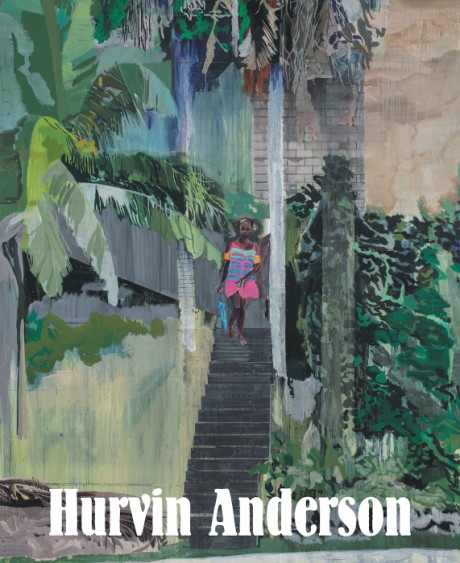 Cover image for Hurvin Anderson