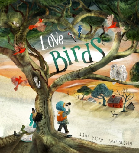 Cover image for Love Birds A Picture Book