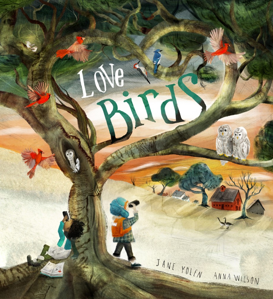 Love Birds A Picture Book