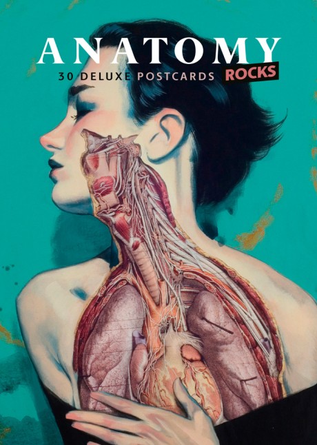 Cover image for Anatomy Rocks 30 Deluxe Postcards