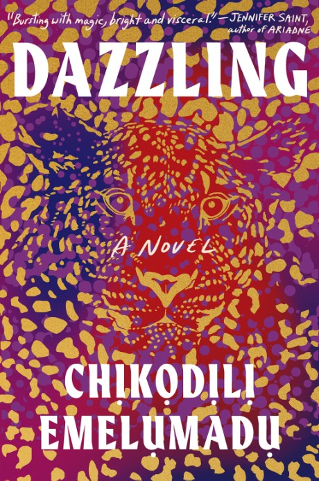 Cover image for Dazzling 