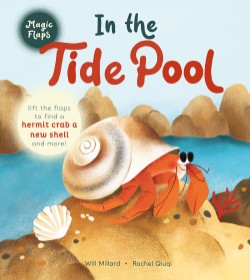 Cover image for In the Tide Pool A Magic Flaps Book