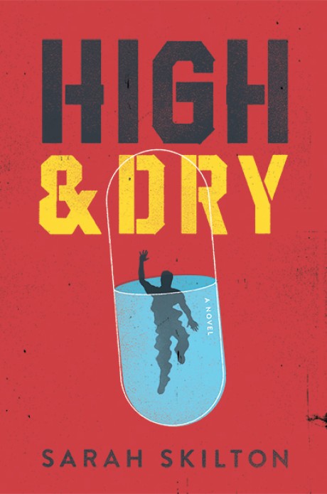 Cover image for High and Dry 