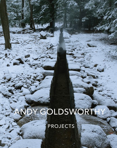 Cover image for Andy Goldsworthy: Projects 