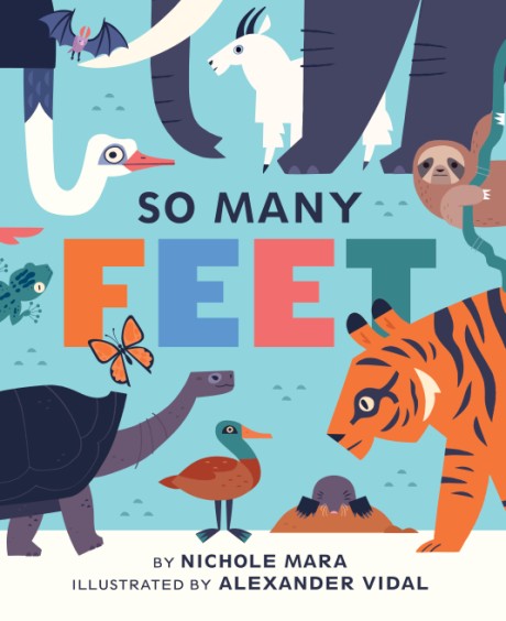 Cover image for So Many Feet A Board Book