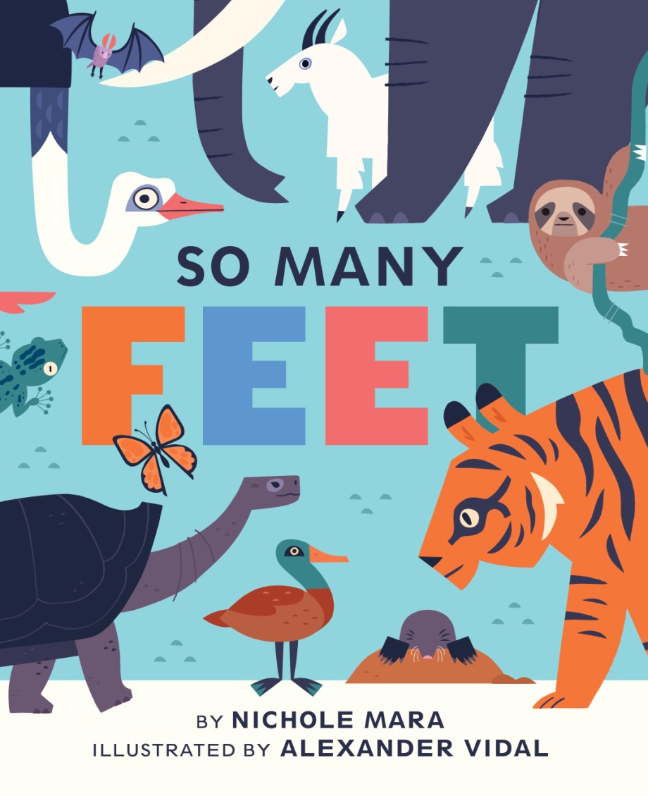 So Many Feet A Board Book