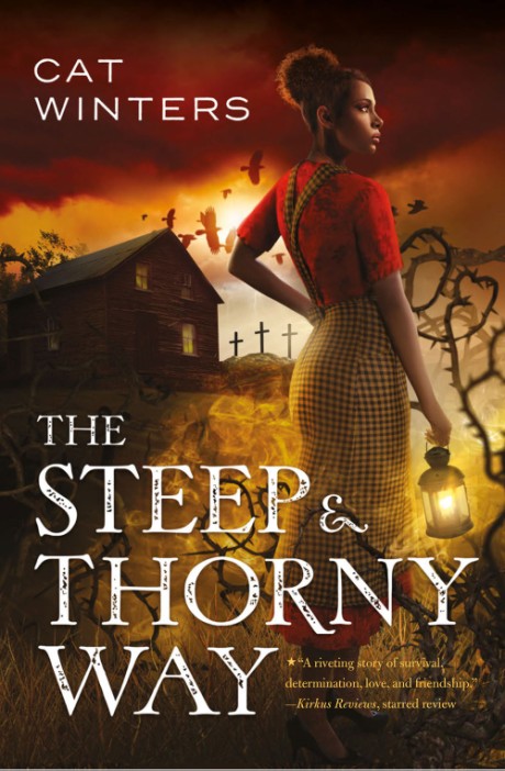 Cover image for Steep and Thorny Way 