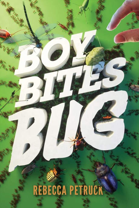 Cover image for Boy Bites Bug 