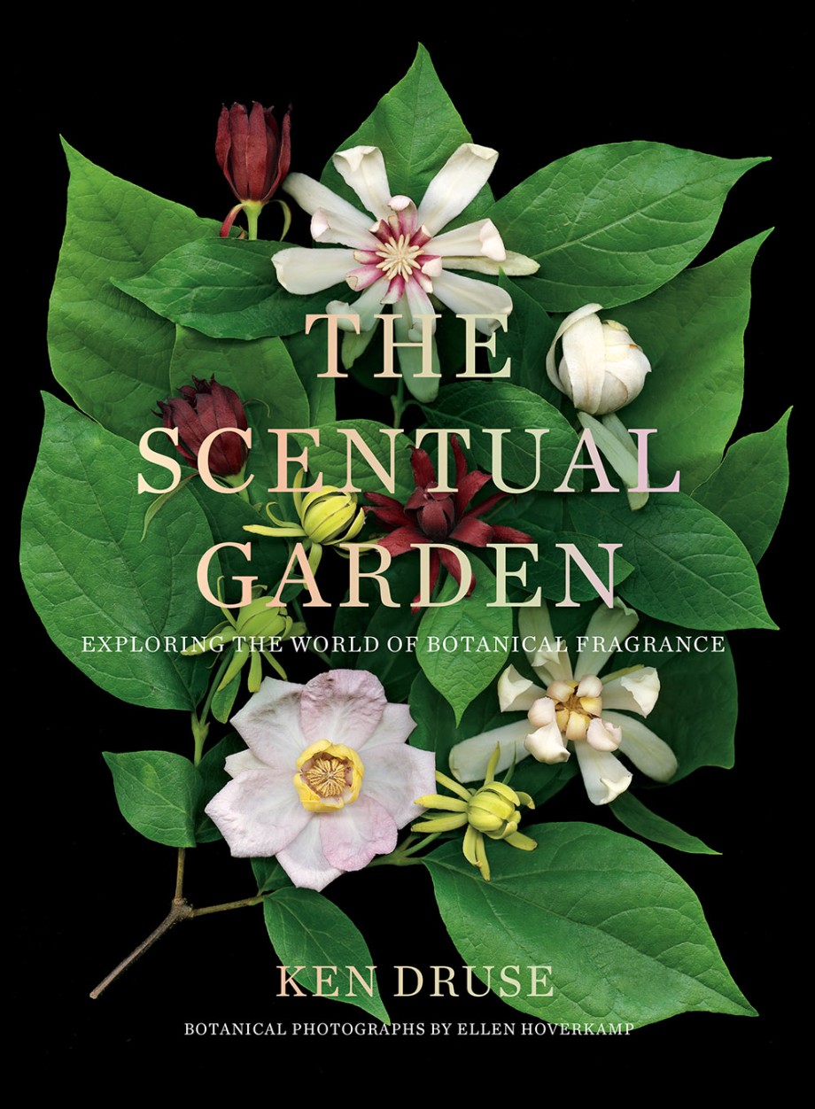 Cover for Scentual Garden Exploring the World of Botanical Fragrance