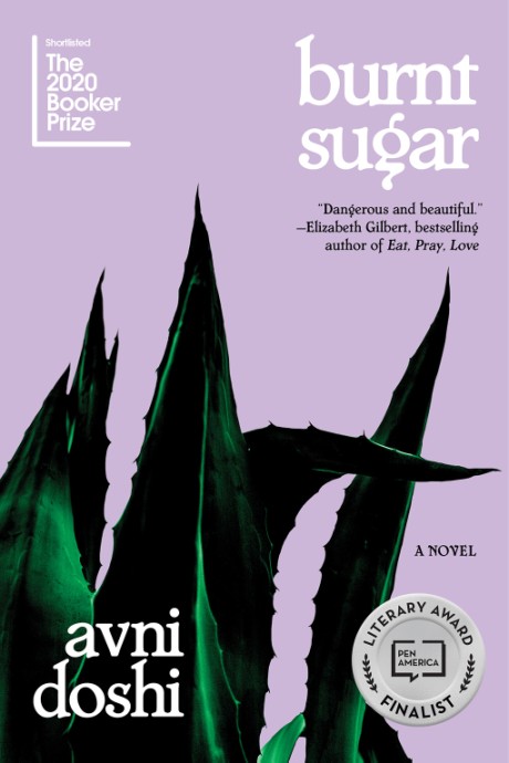Cover image for Burnt Sugar A Novel