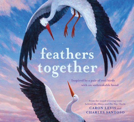 Cover image for Feathers Together A Picture Book