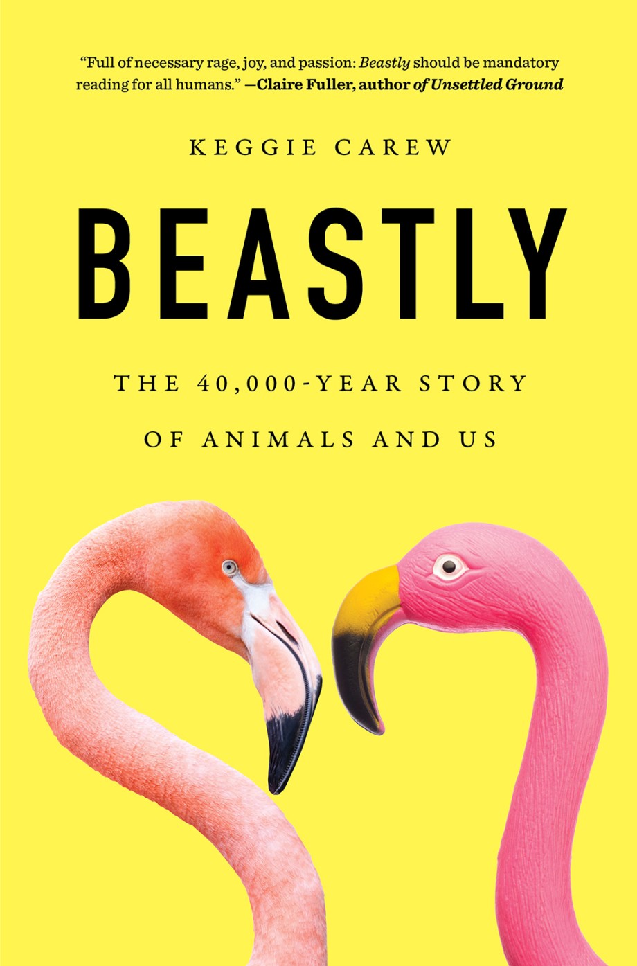 Cover for Beastly The 40,000-Year Story of Animals and Us