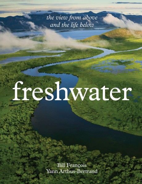 Cover image for Freshwater The View from Above and the Life Below
