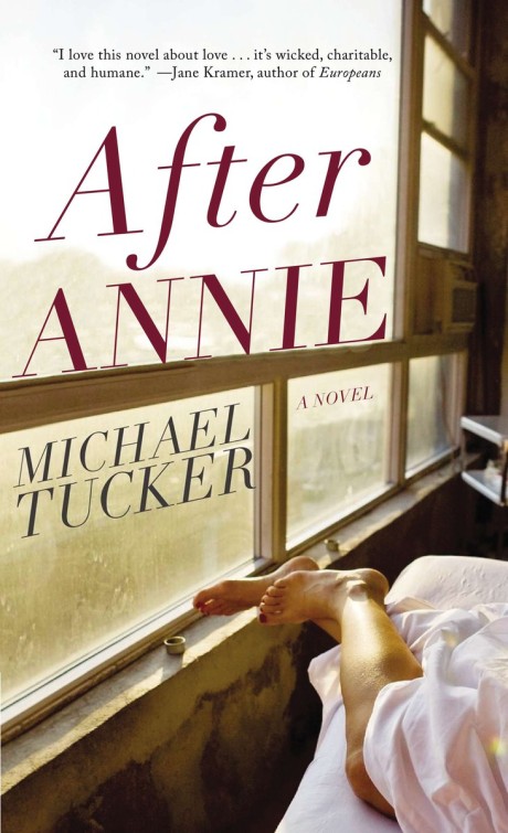 Cover image for After Annie A Novel