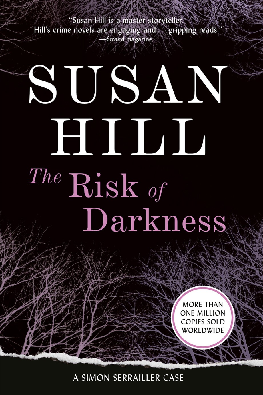 Cover for Risk of Darkness